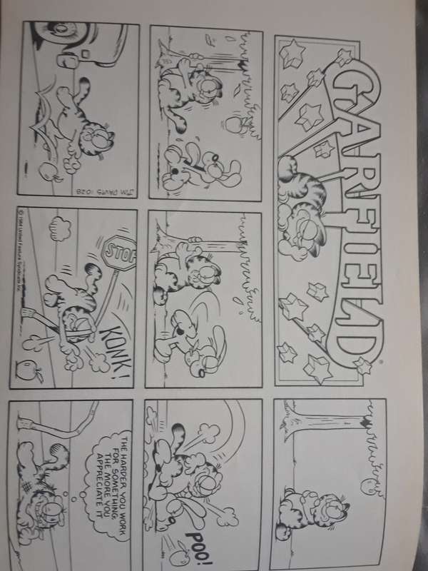 Garfield special delivery cartoon book