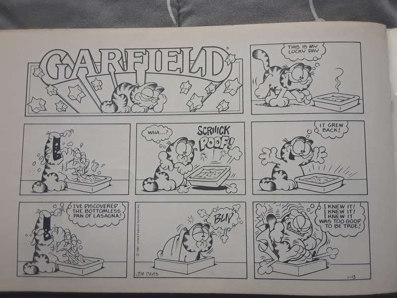Garfield special delivery cartoon book