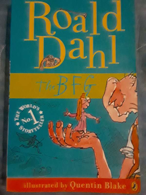Roald Dahl Matilda and the BFG book combo