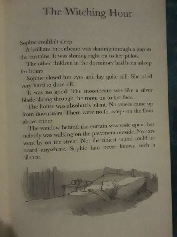 Roald Dahl Matilda and the BFG book combo