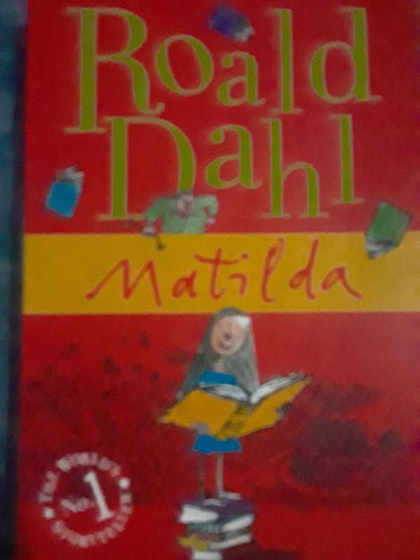 Roald Dahl Matilda and the BFG book combo