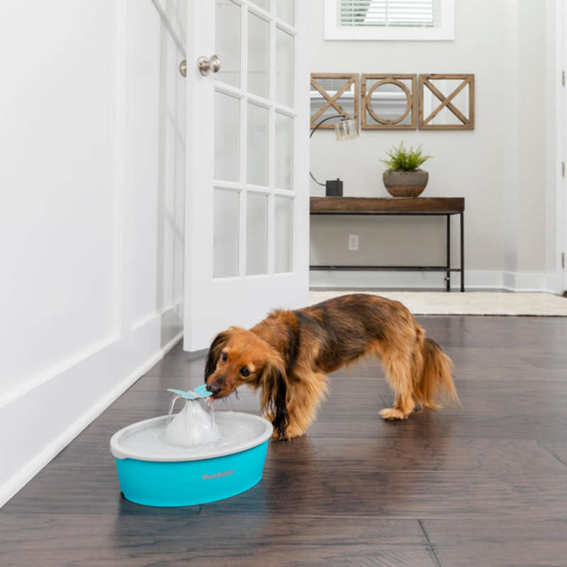 Drinkwell® Butterfly Pet Fountain