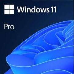Windows 11 Professional + Office 2021 Home & Business