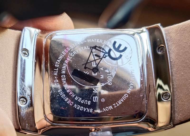 Skagen Denmark New Mens watch in box.