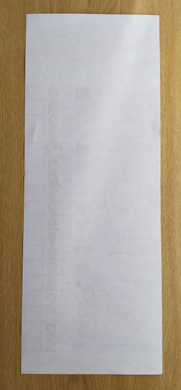 South Africa original 1994 ballot paper. Nice!!