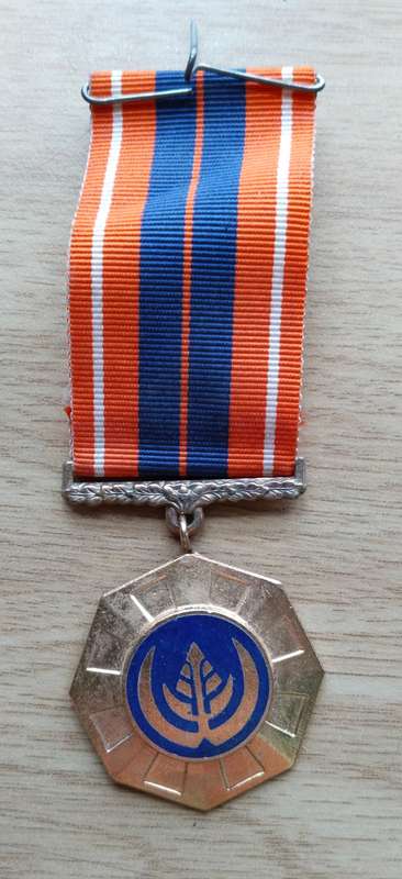 SANDF Medal Awarded to 54381