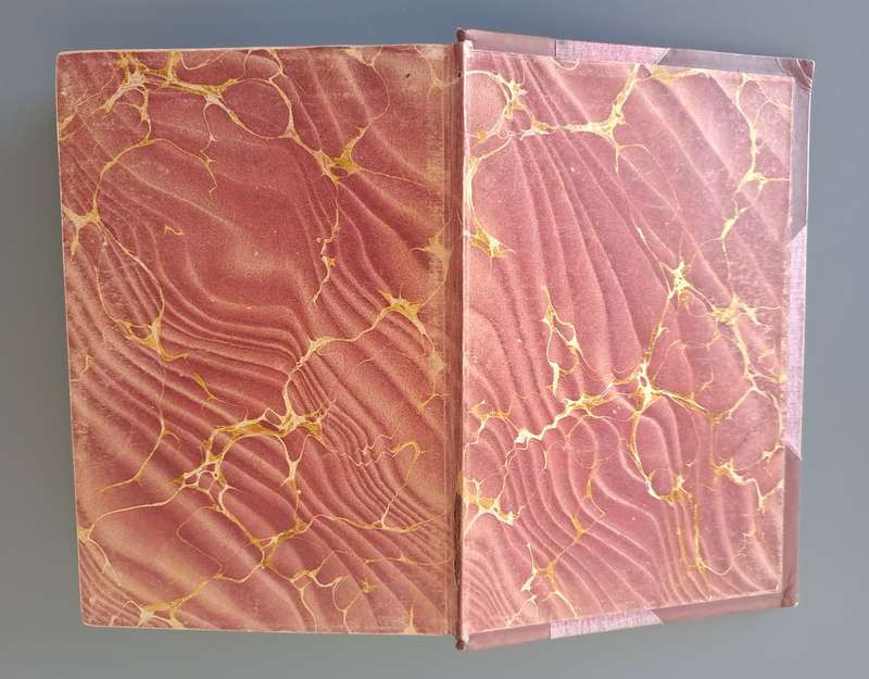 BEAUTIFUL ANTIQUE 1924 GARDENS OF SOUTH AFRICA! *RARE DETAILED BOOK*