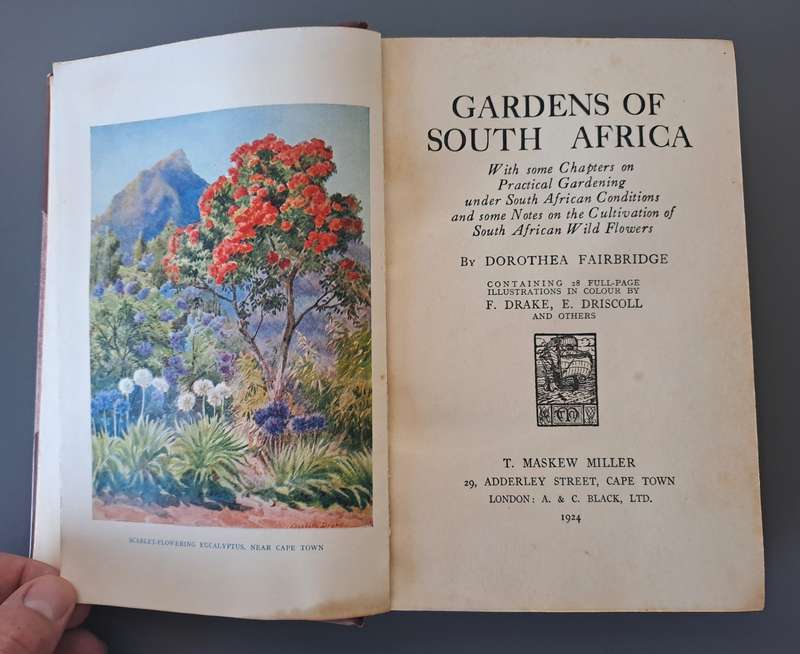 BEAUTIFUL ANTIQUE 1924 GARDENS OF SOUTH AFRICA! *RARE DETAILED BOOK*