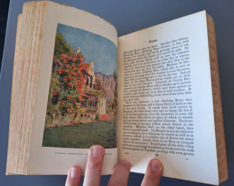 BEAUTIFUL ANTIQUE 1924 GARDENS OF SOUTH AFRICA! *RARE DETAILED BOOK*