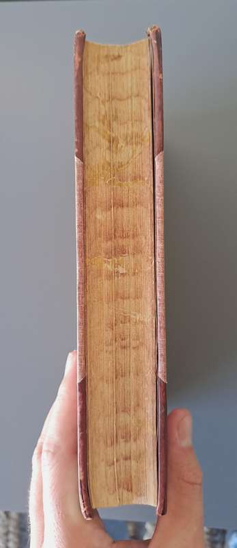 BEAUTIFUL ANTIQUE 1924 GARDENS OF SOUTH AFRICA! *RARE DETAILED BOOK*