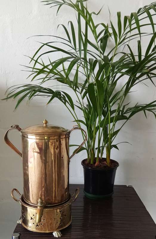 Antique Cape Solid Brass Fiddian Coffee Konfoor and Urn