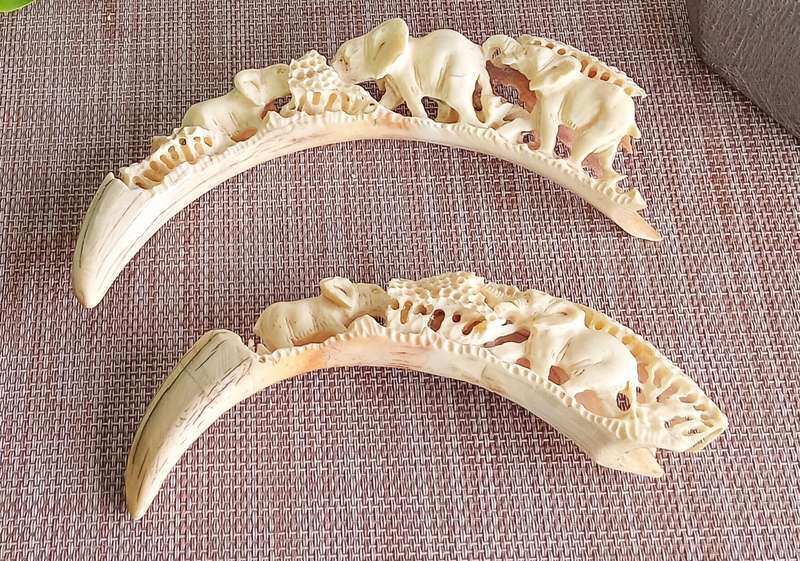 STUNNING HAND CARVED HISTORIC WARTHOG TUSK