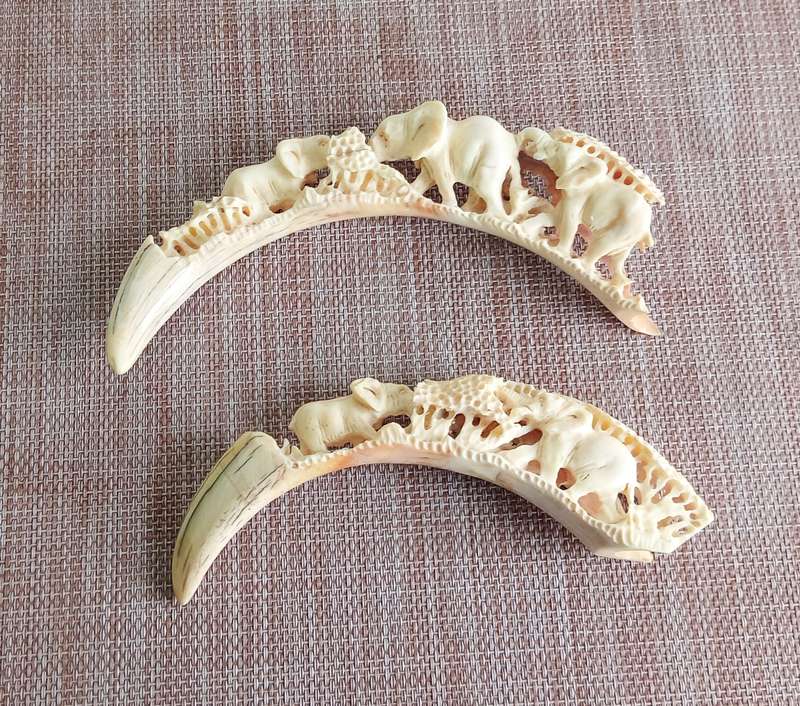 STUNNING HAND CARVED HISTORIC WARTHOG TUSK