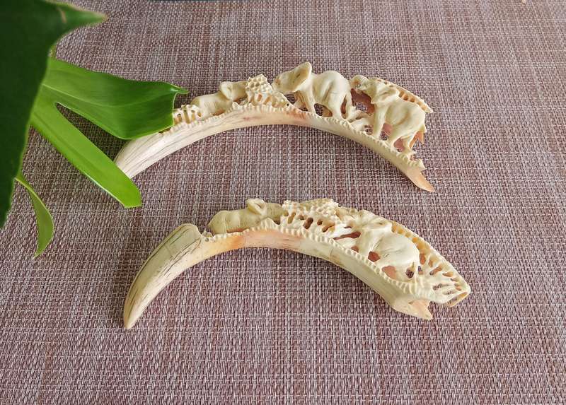 STUNNING HAND CARVED HISTORIC WARTHOG TUSK