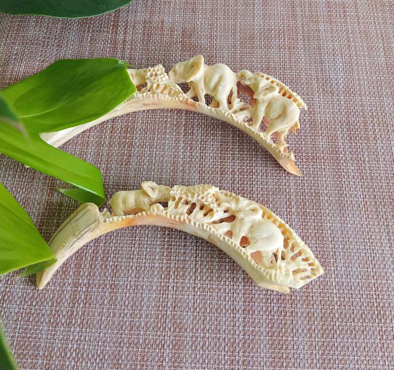 STUNNING HAND CARVED HISTORIC WARTHOG TUSK