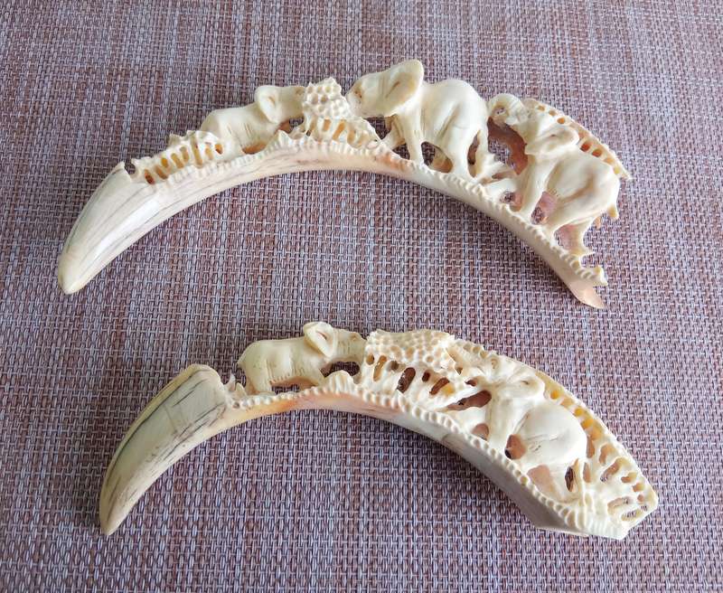 STUNNING HAND CARVED HISTORIC WARTHOG TUSK