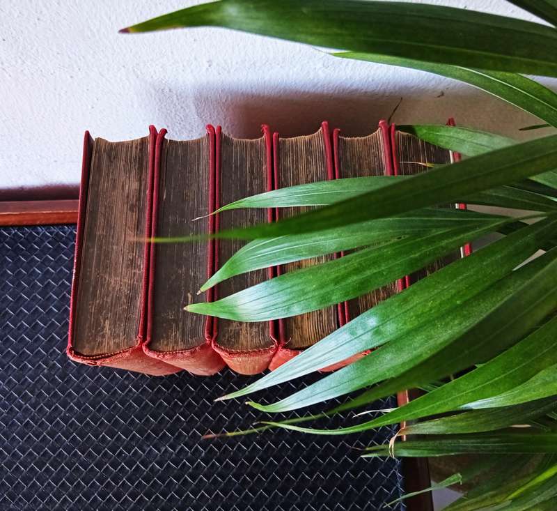 COLLECTION OF VINTAGE ''VERSAMELDE WERKE'' BOOKS BY CJ LANGENHOVEN FROM 1940