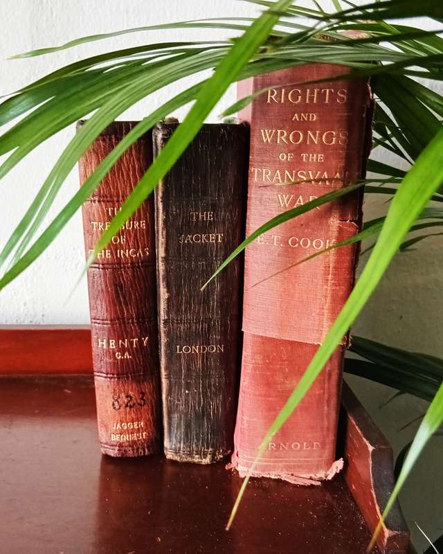 COLLECTION OF ANTIQUE BOOKS   Circa(1901)