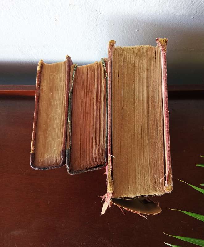 COLLECTION OF ANTIQUE BOOKS   Circa(1901)