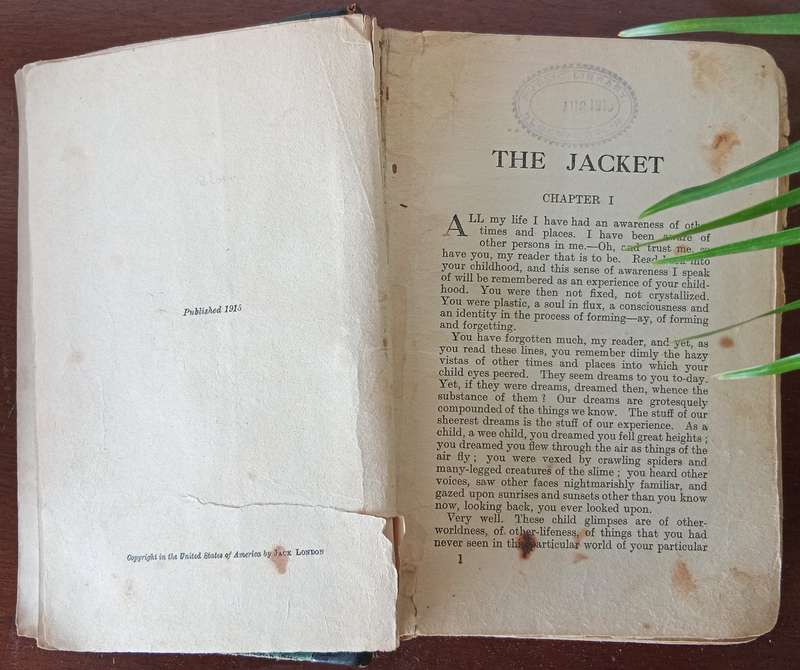 COLLECTION OF ANTIQUE BOOKS   Circa(1901)