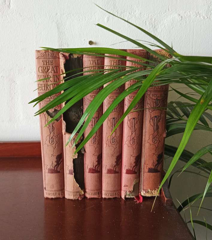 6 ANTIQUE BOOK COLLECTION OF THE GREAT WAR IN EUROPE BY FRANC R CANA Circa 1915