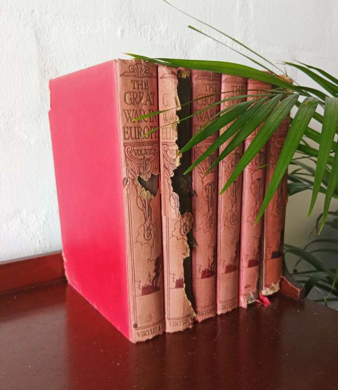 6 ANTIQUE BOOK COLLECTION OF THE GREAT WAR IN EUROPE BY FRANC R CANA Circa 1915