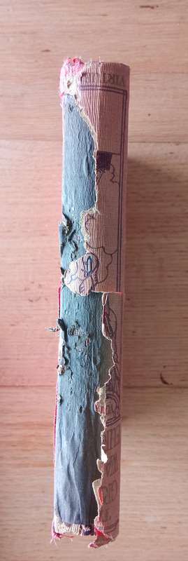 6 ANTIQUE BOOK COLLECTION OF THE GREAT WAR IN EUROPE BY FRANC R CANA Circa 1915