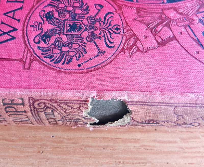 6 ANTIQUE BOOK COLLECTION OF THE GREAT WAR IN EUROPE BY FRANC R CANA Circa 1915