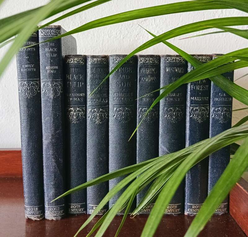 COLLECTION OF 9 VINTAGE BOOKS FROM THE LIBRARY OF CLASSICS CIRCA 1953