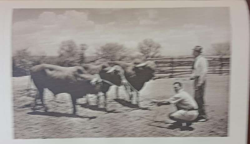 VINTAGE BOOK, IN SEARCH OF SOUTH AFRICA Circa 1949