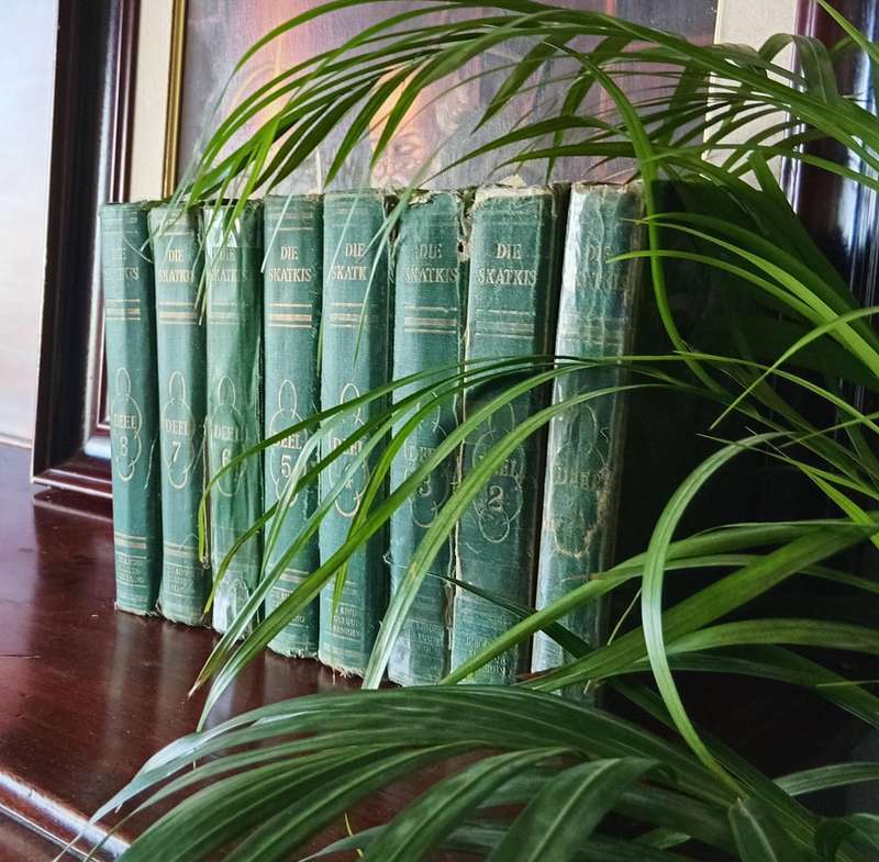 VINTAGE COLLECTION OF AFRIKAANS BOOKS ''DIE SKATKIS'' DEEL 1-8