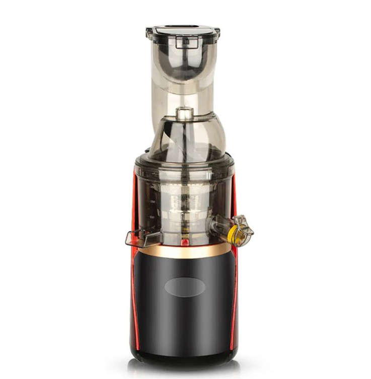 Professional SLow Juicer