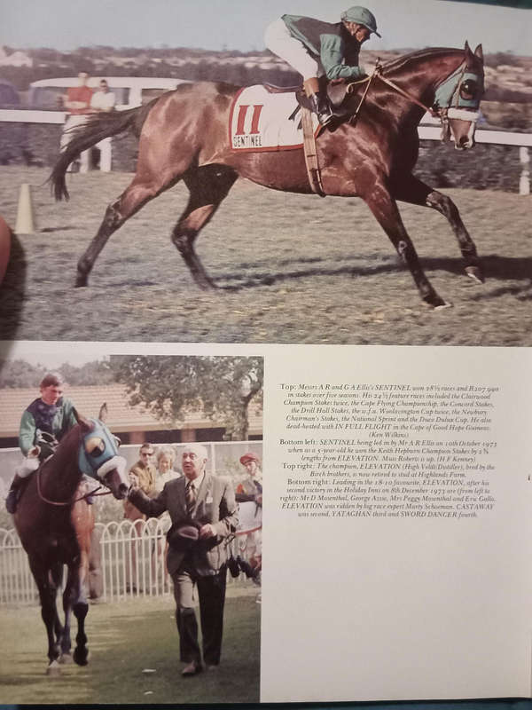 They raced to win, a history of racing in South Africa, 1797-1979 first edition