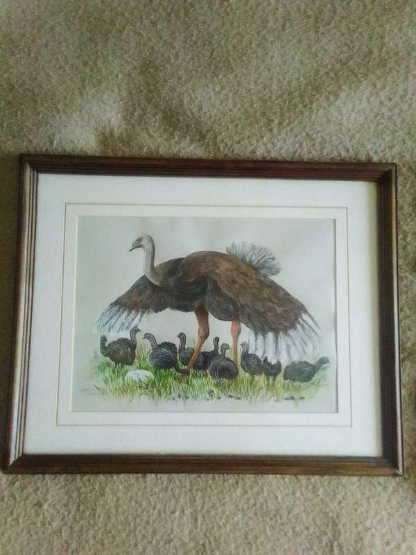 Beautiful acrylic wildlife painting, Ostrich family in smart wooden glass frame