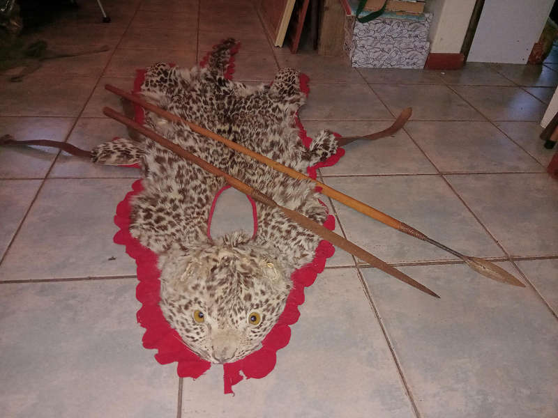 Zulu chief warrior leopard skin ceremonial dress with assegai and spear