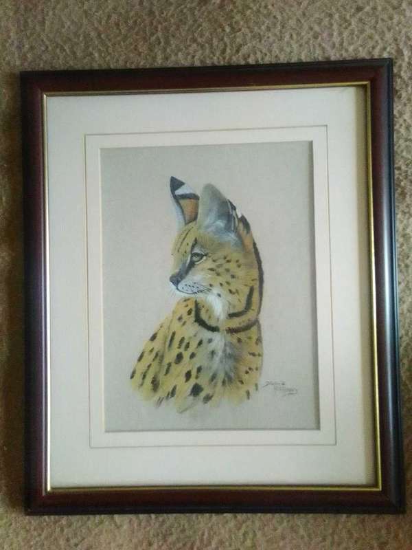 Beautiful acrylic wildlife painting of Serval Cat in smart wooden glass frame