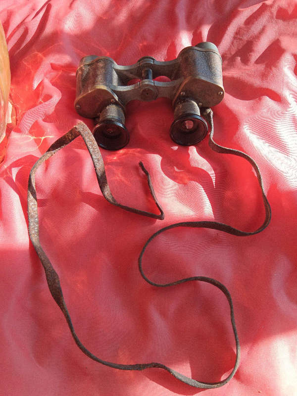 Antique binoculars Carl Zeiss Jena, Telex 6x