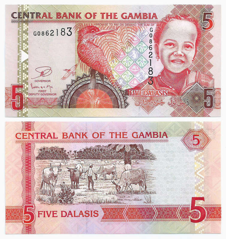 Gambia - 5 Dalasis 2006 (2013) P-25c UNC