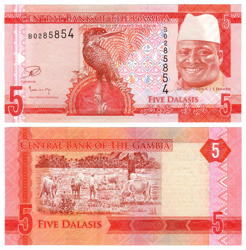 Gambia - 5 Dalasis 2015 P-31a UNC