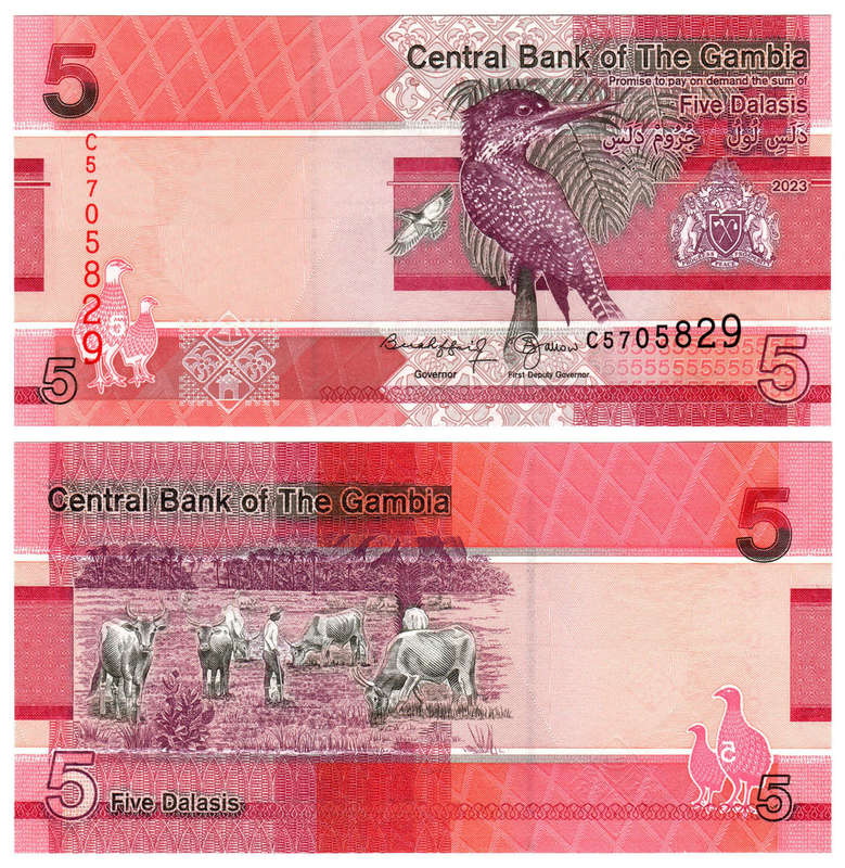 Gambia - 5 Dalasis 2023 P-37c UNC