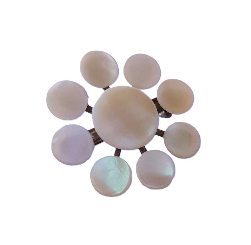 Vintage Natural Mother of Pearl and Brass Brooch Pin