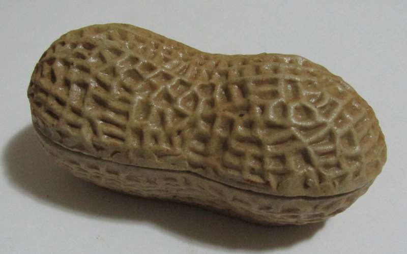 Vintage Peanut-Shaped Ceramic Trinket Box with Kangxi Mark