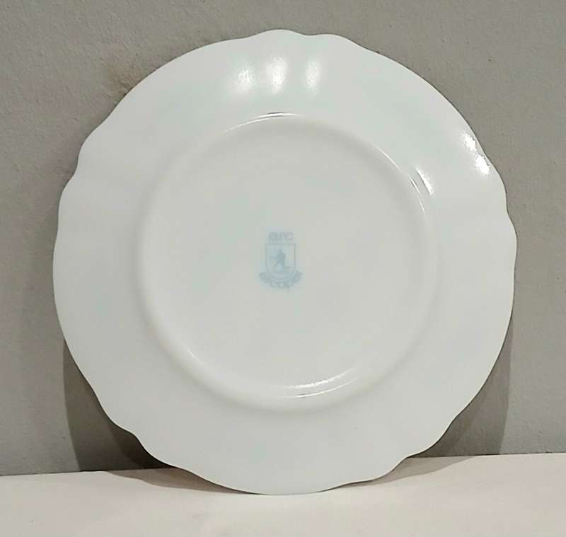 Vintage 1970s Arcopal France Opal Glass Plate | Arc Archer Logo | Rare Retro Pattern