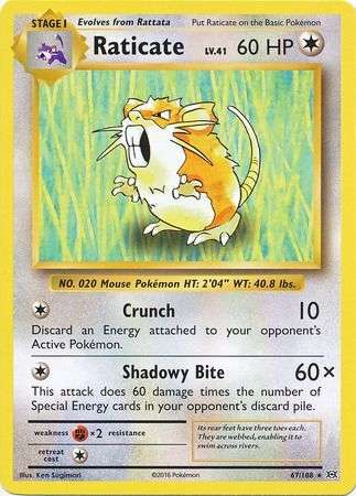 Pokemon Trading Card Game - Raticate - 67/108 - Rare XY: Evolutions Singles