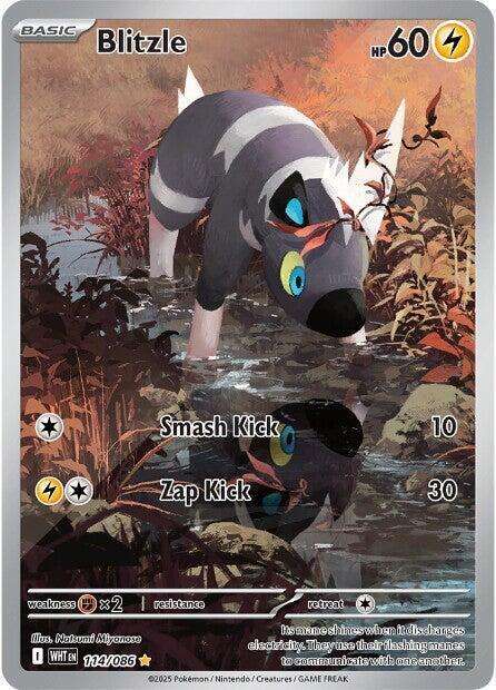 Pokemon Trading Card Game - Blitzle - 114/086 - SV: White Flare