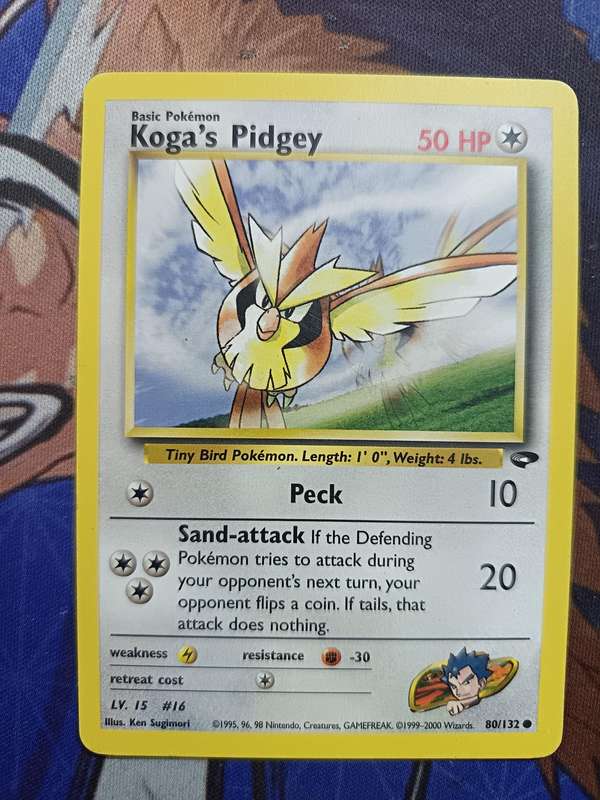 Pokemon Trading Card Game - Koga's Pidgey #80 Pokemon Gym Challenge - Vintage