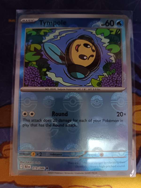 Pokemon Trading Card Game - Tympole (Poke Ball Pattern) - SV: Black Bolt