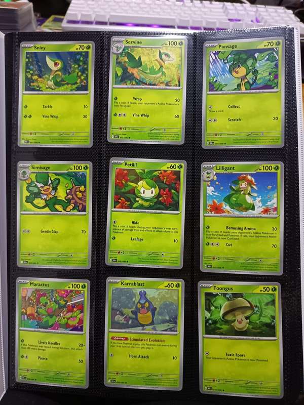 Pokemon Trading Card Game - Black Bolt and White Flare FULL English base set (All C, U, R cards)