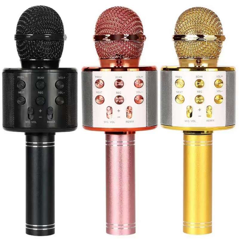 Tiktok - karaoke microphone - ws858 - led speaker