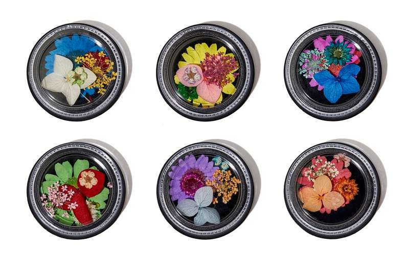 6pcs Dry Flower